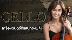 Cello (เชลโล)