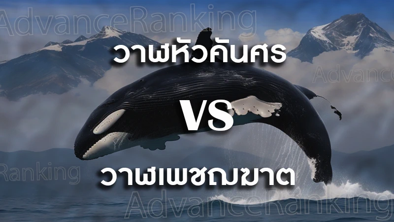 เปรียบเทียบ วาฬหัวคันศร