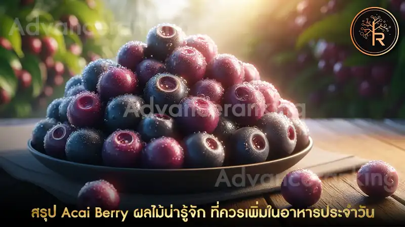 Acai Berry