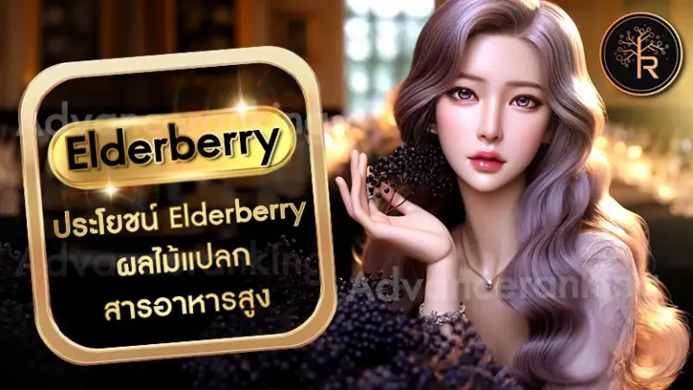 Elderberry