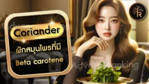 Coriander