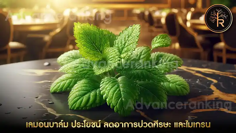 Lemon Balm