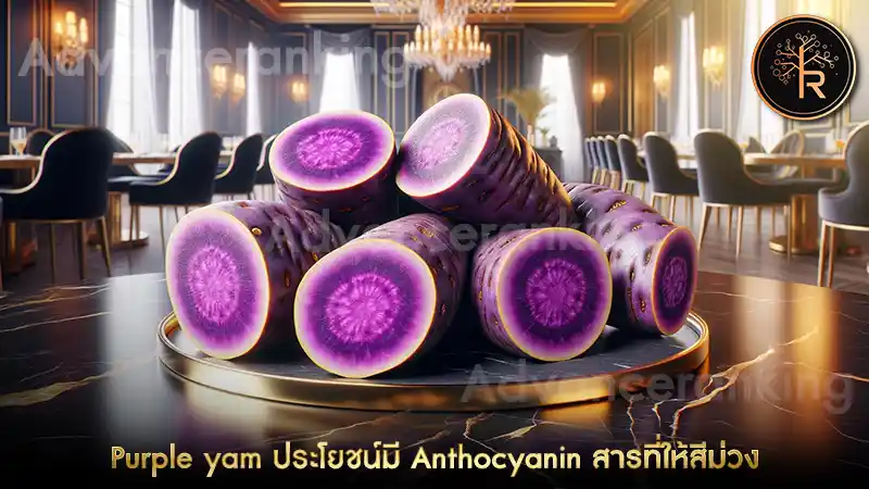 Purple yam