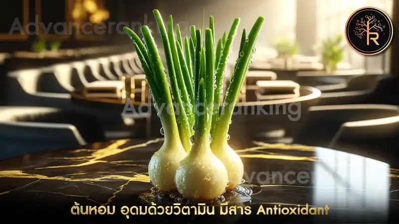 Spring Onion