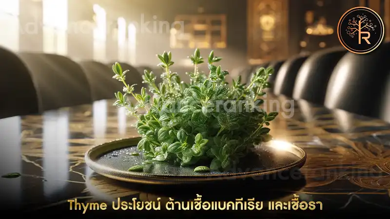 Thyme