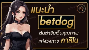 betdog