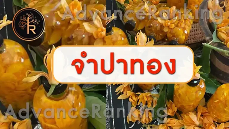 จำปาทอง