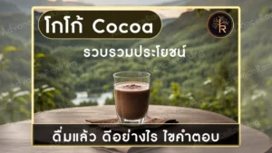 โกโก้ Cocoa