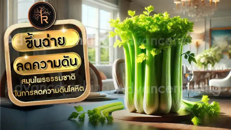 ขึ้นฉ่ายลดความดัน