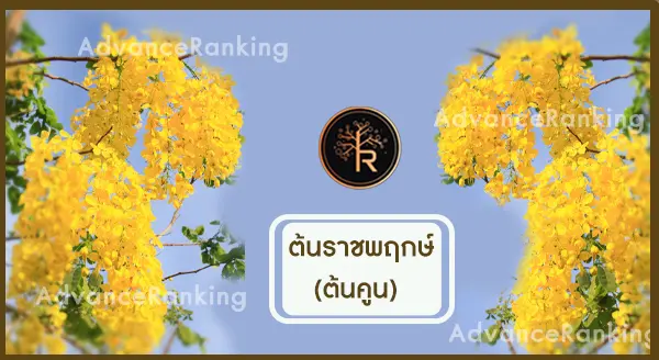 ต้นราชพฤกษ์