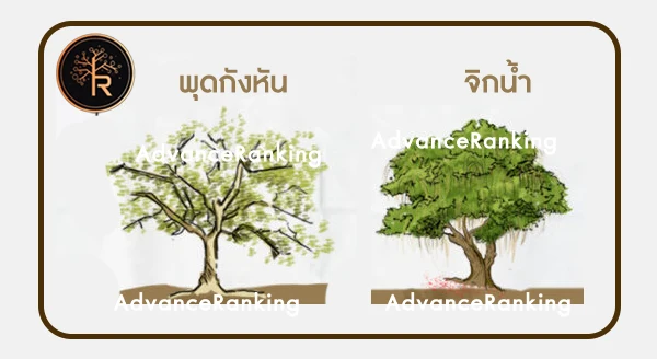 พุดกังหัน