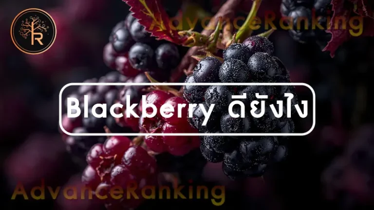 Blackberry ดียังไง