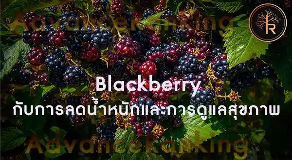 Blackberry ดียังไง