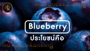 Blueberry ประโยชน์คือ