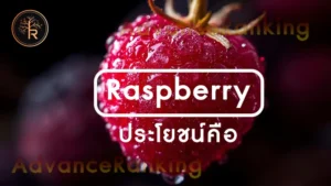 Raspberry ประโยชน์คือ