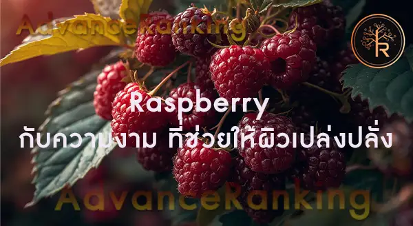 Raspberry ประโยชน์คือ