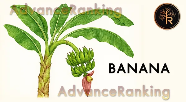 กล้วย มีโทษหรือไม่