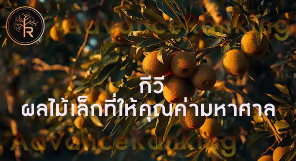 กีวี ดียังไง