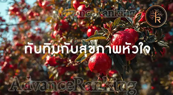 ทับทิม ดียังไง