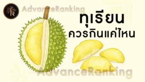 ทุเรียน ควรกินแค่ไหน
