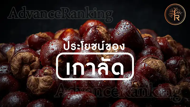 ประโยชน์ของ เกาลัด