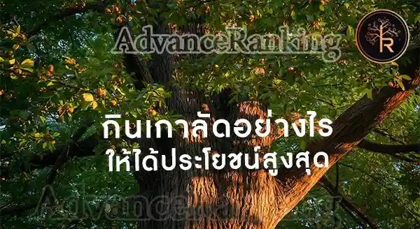 ประโยชน์ของ เกาลัด