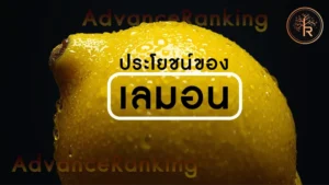 ประโยชน์ของ เลมอน