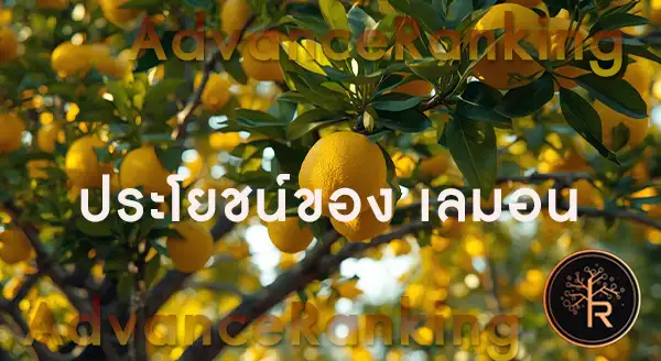 ประโยชน์ของ เลมอน