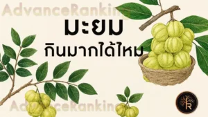 มะยม กินมากได้ไหม