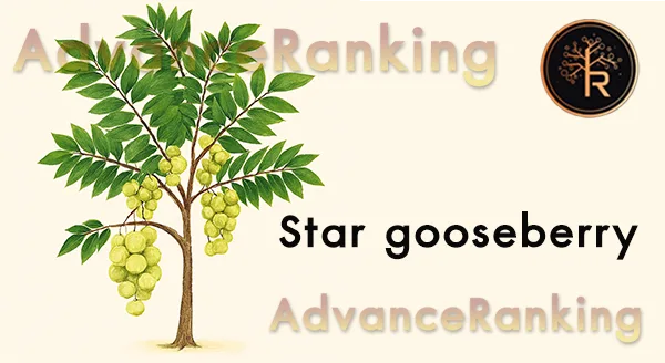 มะยม กินมากได้ไหม