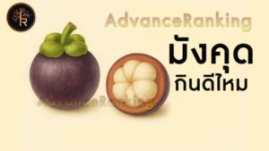 มังคุด กินดีไหม