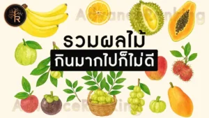 รวมผลไม้ กินมากไปก็ไม่ดี