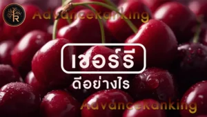 เชอร์รี ดีอย่างไร