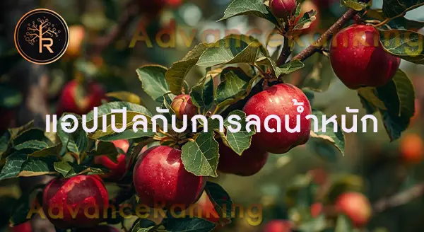 แอปเปิล ประโยชน์คือ