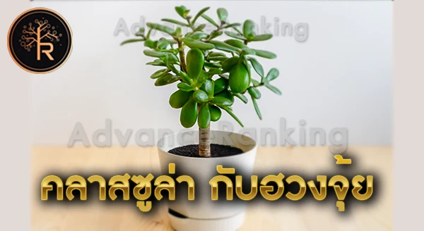 คลาสซูล่า เสริมดวงธุรกิจ