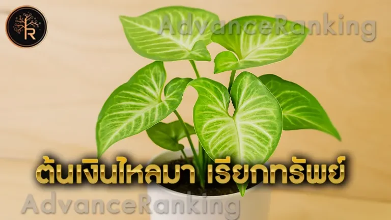 ต้นเงินไหลมา เรียกทรัพย์