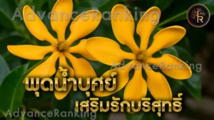 พุดน้ำบุศย์ เสริมรักบริสุทธิ์
