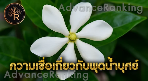 พุดน้ำบุศย์ เสริมรักบริสุทธิ์