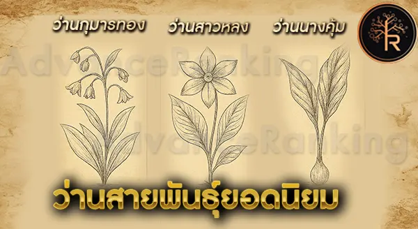 ว่าน สายพันธุ์นิยม