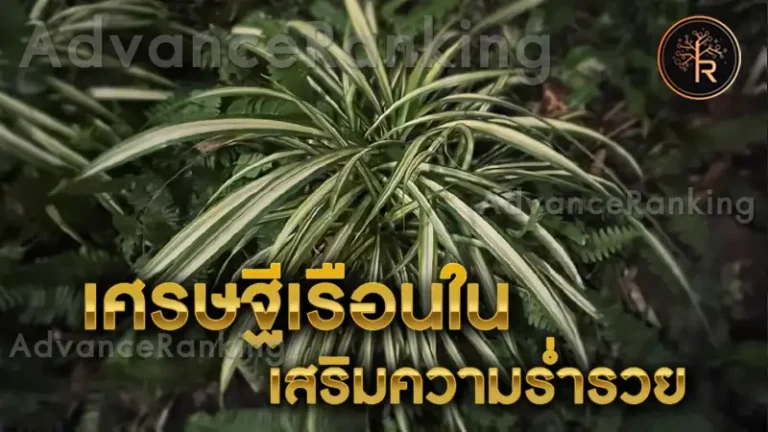 เศรษฐีเรือนใน เสริมความร่ำรวย