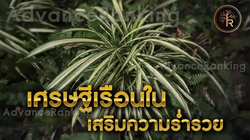 เศรษฐีเรือนใน เสริมความร่ำรวย