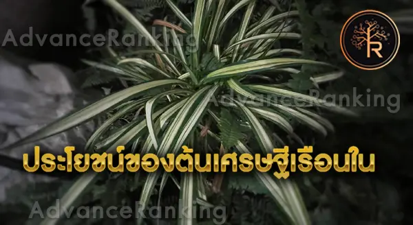 เศรษฐีเรือนใน เสริมความร่ำรวย