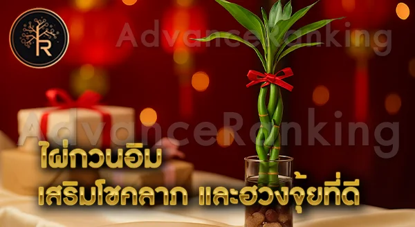 ไผ่กวนอิม เสริมโชคลาภ