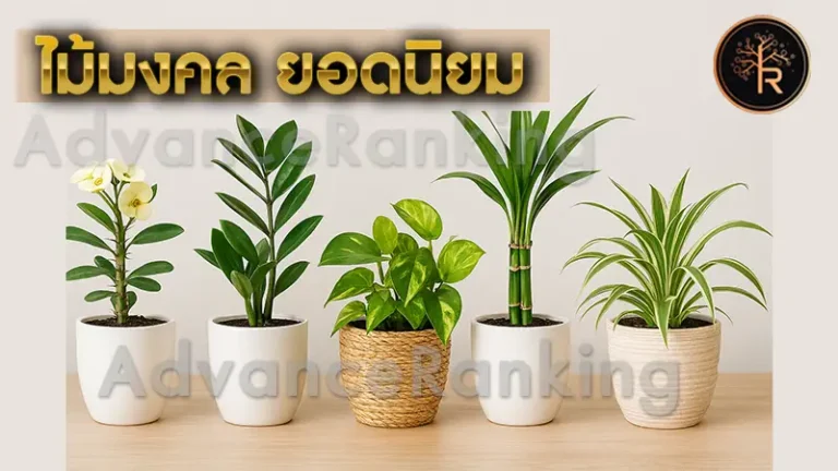 ไม้มงคล ยอดนิยม