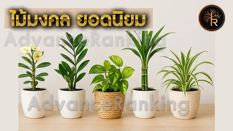 ไม้มงคล ยอดนิยม