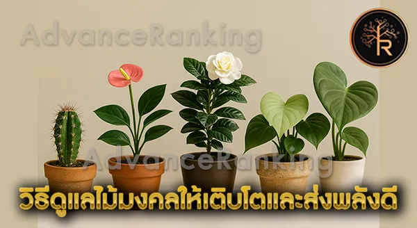 ไม้มงคล ยอดนิยม