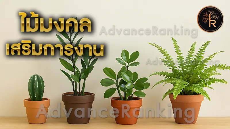 ไม้มงคล เสริมการงาน