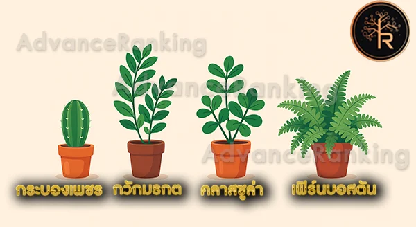 ไม้มงคล เสริมการงาน