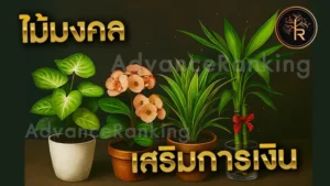 ไม้มงคล เสริมการเงิน