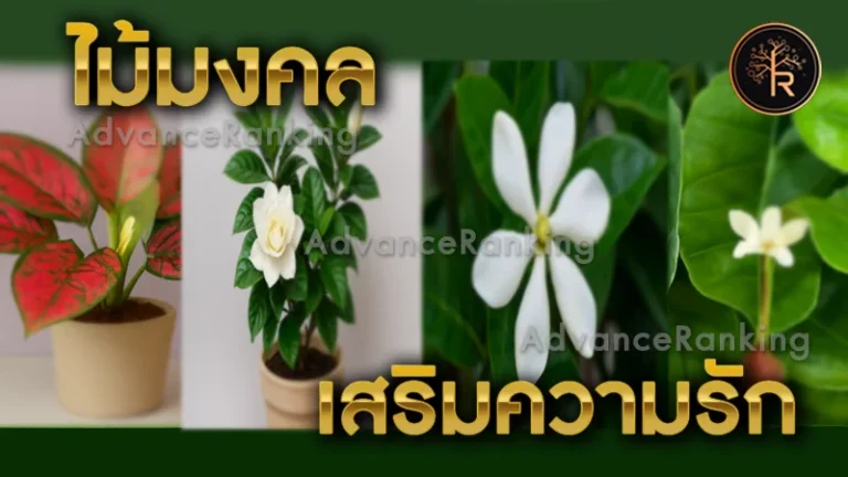 ไม้มงคล เสริมความรัก